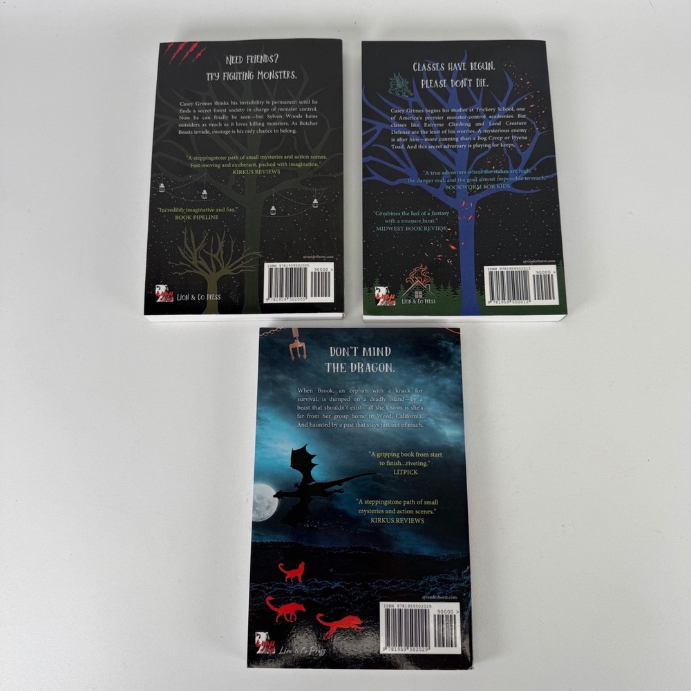 AJ Vanderhorst Casey Grimes Series 3 Book Set Mostly Invisible Boy Fantasy - Picture 2 of 3